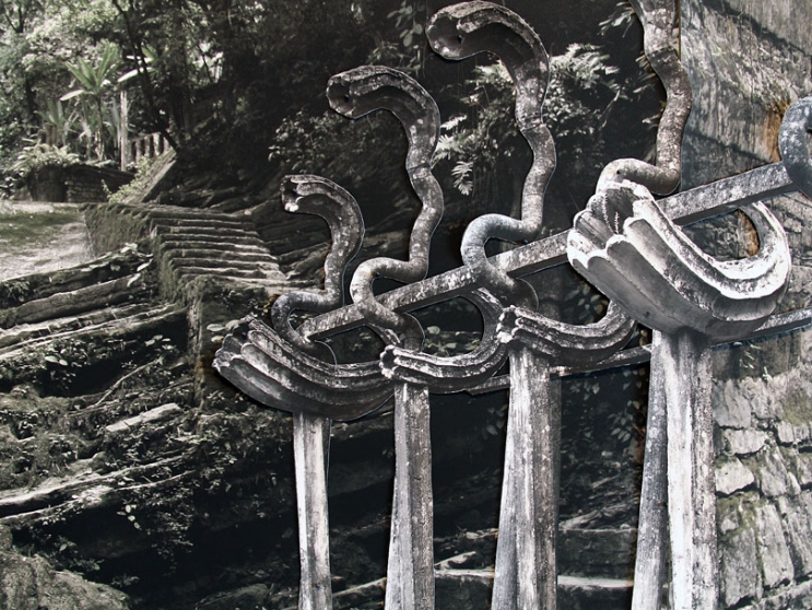 https://img.mirunadragan.com/files/gimgs/th-6_IMG_2470_Xilitla_W.jpg