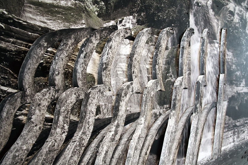 https://img.mirunadragan.com/files/gimgs/th-6_IMG_2473_Xilitla_W.jpg