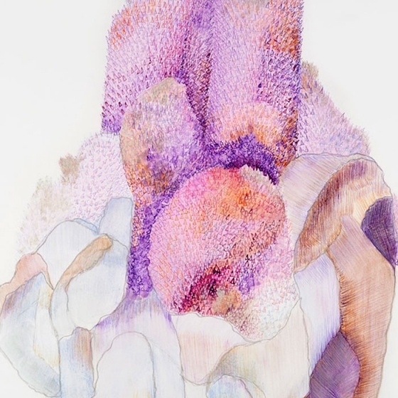 https://img.mirunadragan.com/files/gimgs/th-23_Erratics-Draw3-detail-web_v2.jpg